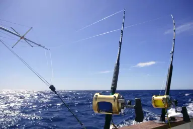 Types of Fish and Fishing Techniques