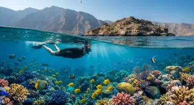 Telegraph Island Snorkeling
